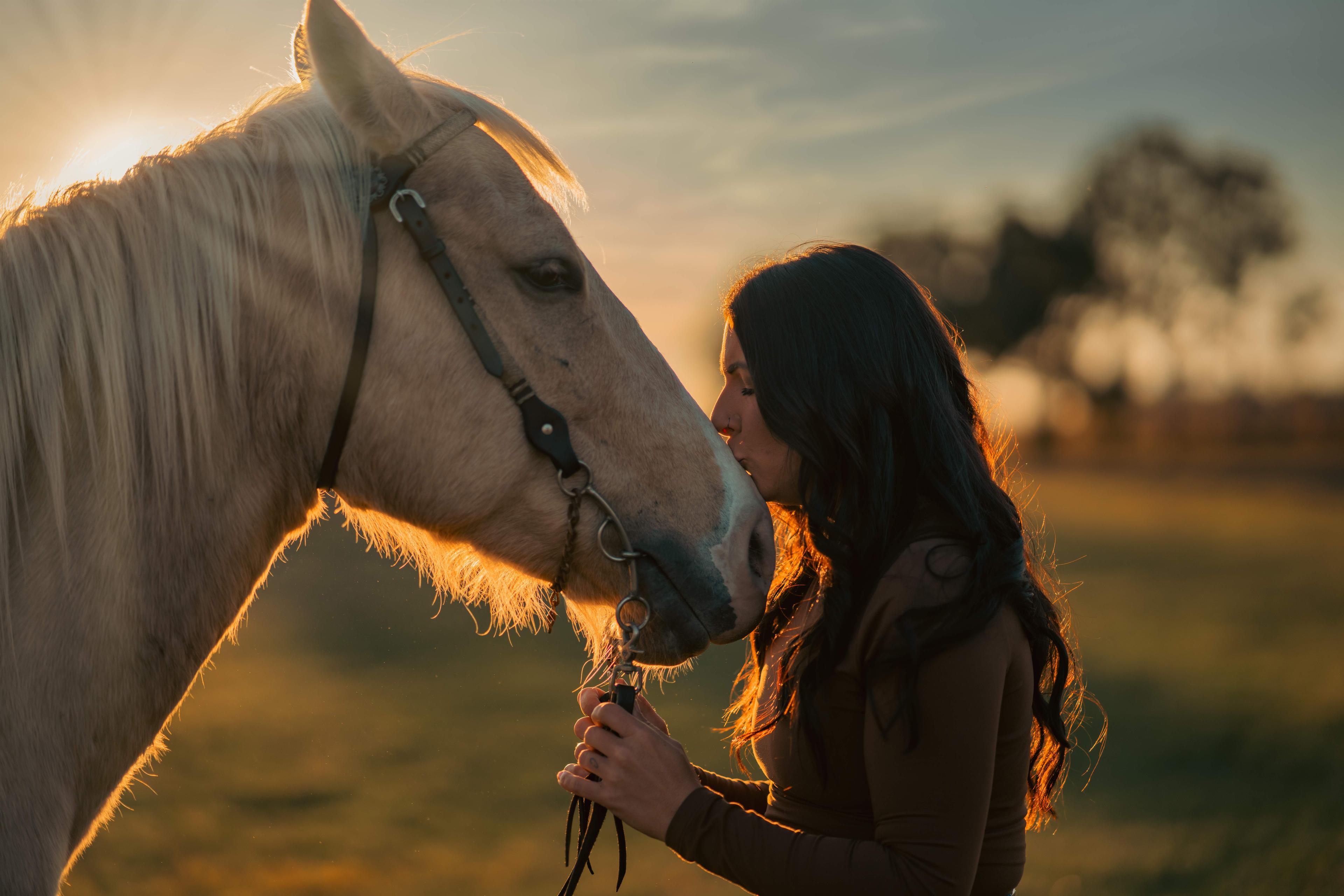 A Day with Jenn, her family and Her Horses